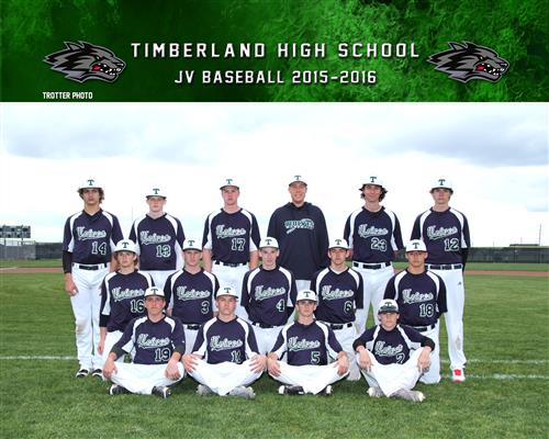 Baseball 2016